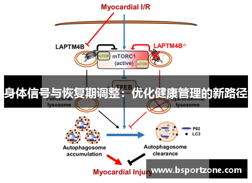 身体信号与恢复期调整：优化健康管理的新路径